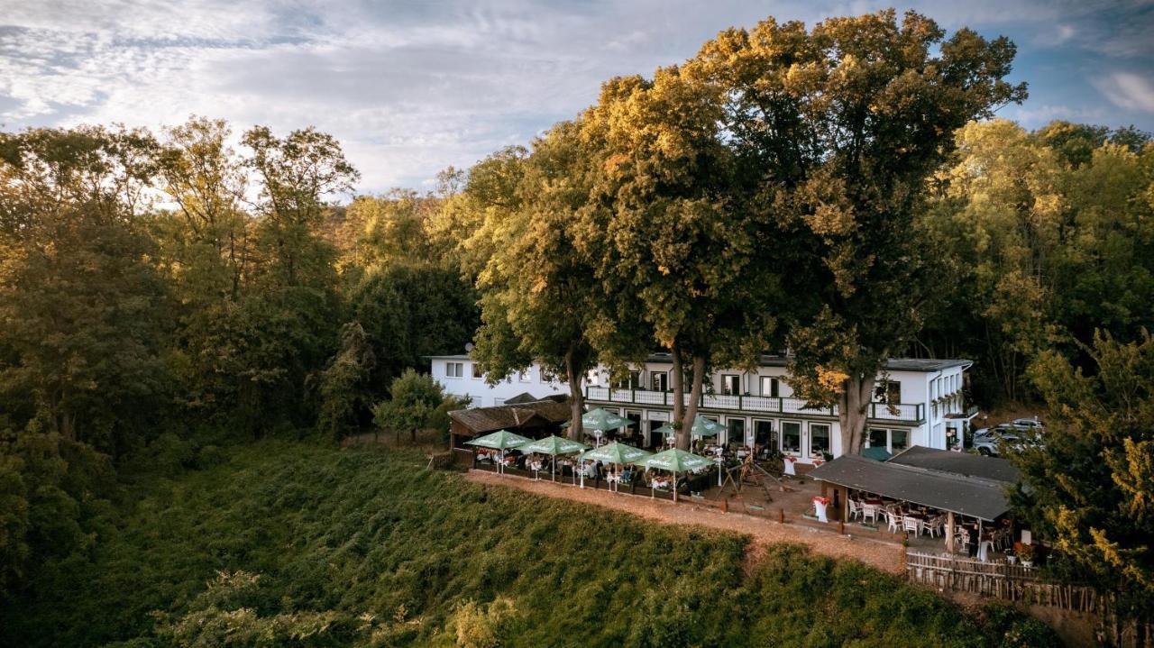 Hotel Hasenjaeger Einbeck Exteriér fotografie